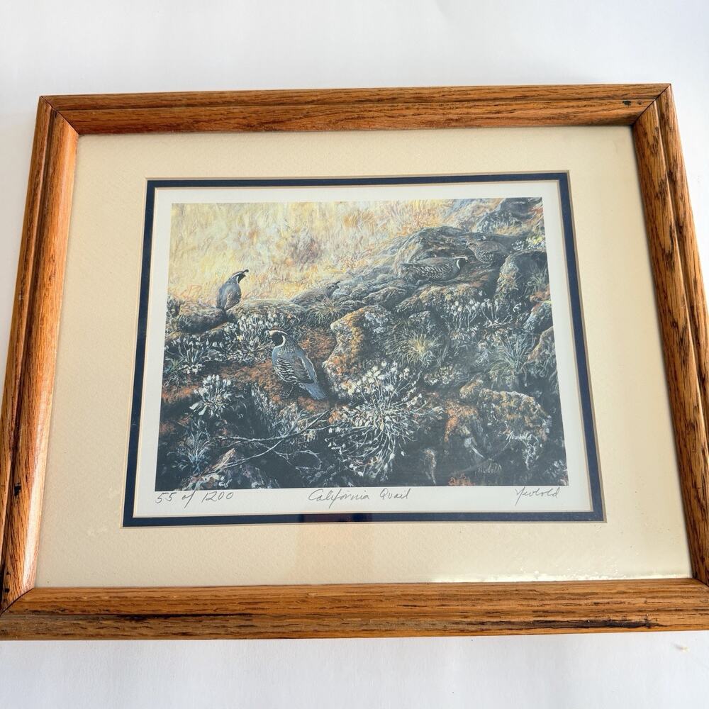 California Quail Painting by Edward Newbold Signed 55 of 1500 12 X 15.5 Frame